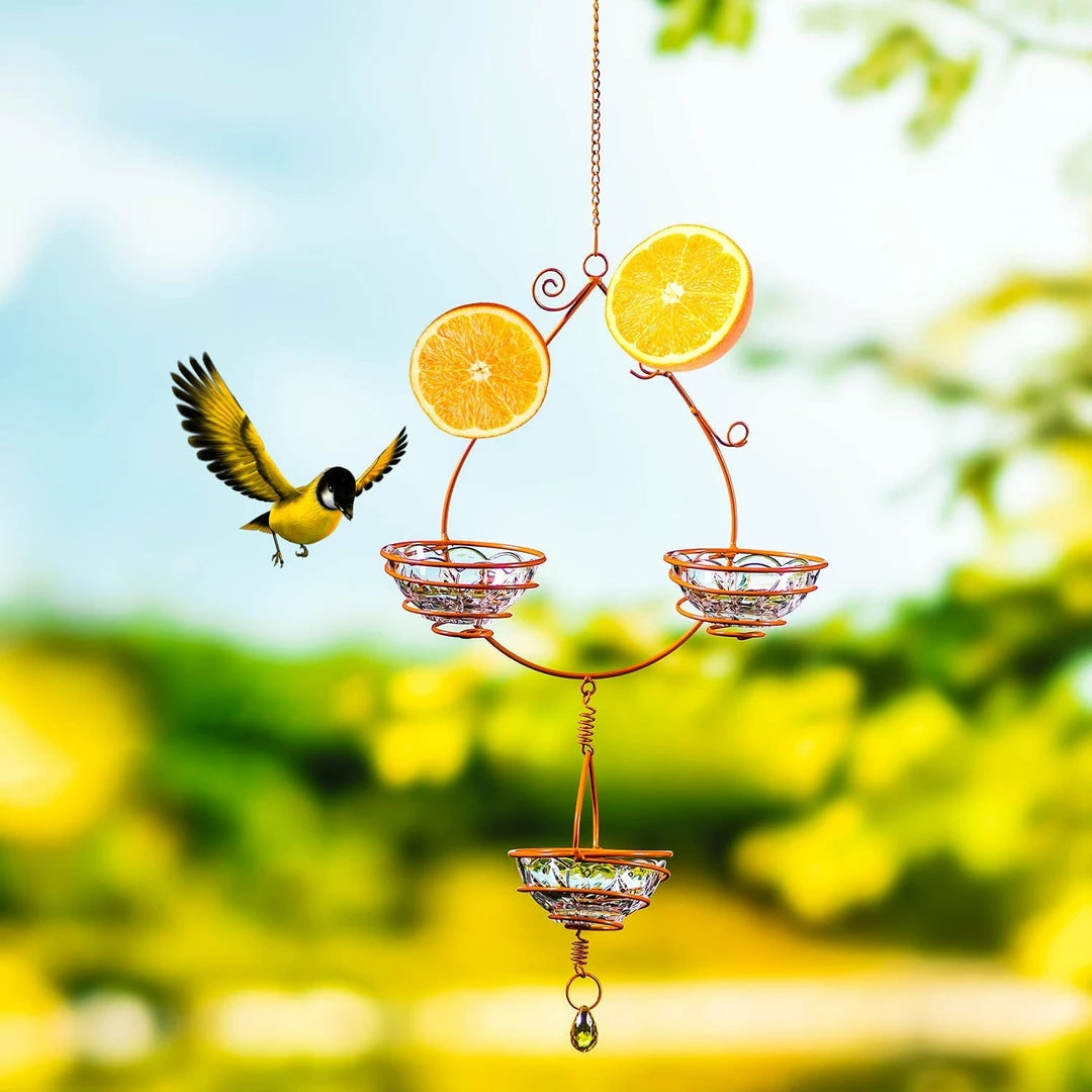 Joiedomi Oriole Hanging Metal Bird Feeder Lawn Decor 4 Joiedomi Oriole Hanging Metal Bird Feeder Lawn Decor