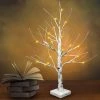 Joiedomi 24¡± LED Birch Tree With 24 Warm White Lights All Holiday Decor