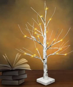 Joiedomi 24¡± LED Birch Tree With 24 Lights, 2 Packs All Holiday Decor