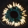 Joiedomi 50 Warm White LED C6 Green Wire String Lights All Holiday Decor