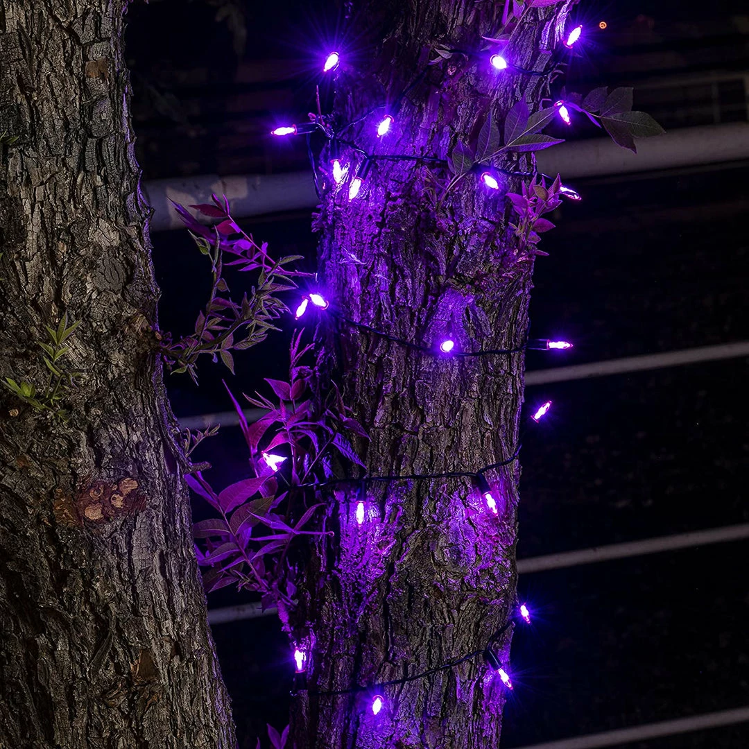 Joiedomi All Holiday Decor 200-Count Purple LED String Lights 5 Joiedomi All Holiday Decor 200-Count Purple LED String Lights