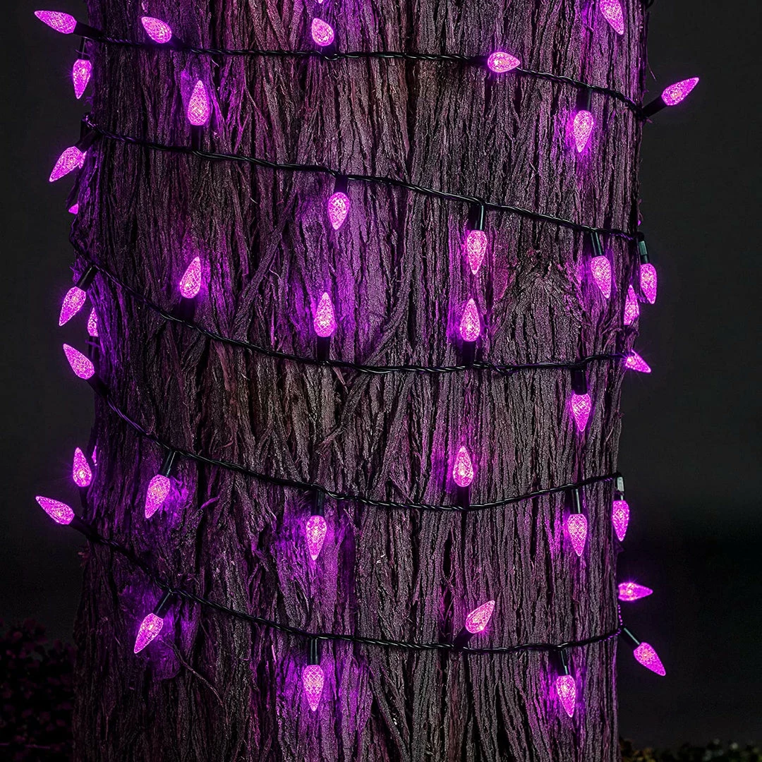 Joiedomi All Holiday Decor 24.2 Ft 70 Counts Of Purple String Light Set 2 Joiedomi All Holiday Decor 24.2 Ft 70 Counts Of Purple String Light Set