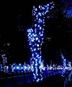 Joiedomi 2 Pack 24.2 Ft 70 Counts Of Blue LED Green Wire Light Set