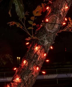 Joiedomi 108.6 Ft 300 Counts Of Orange LED 8 Modes Green Wire Long Light Set All Holiday Decor 8 Joiedomi 108.6 Ft 300 Counts Of Orange LED 8 Modes Green Wire Long Light Set All Holiday Decor