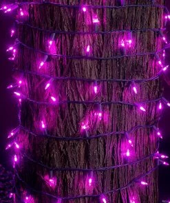 Joiedomi 50.5 FT 150 Counts Of Purple LED C6 Green Wire Light Set